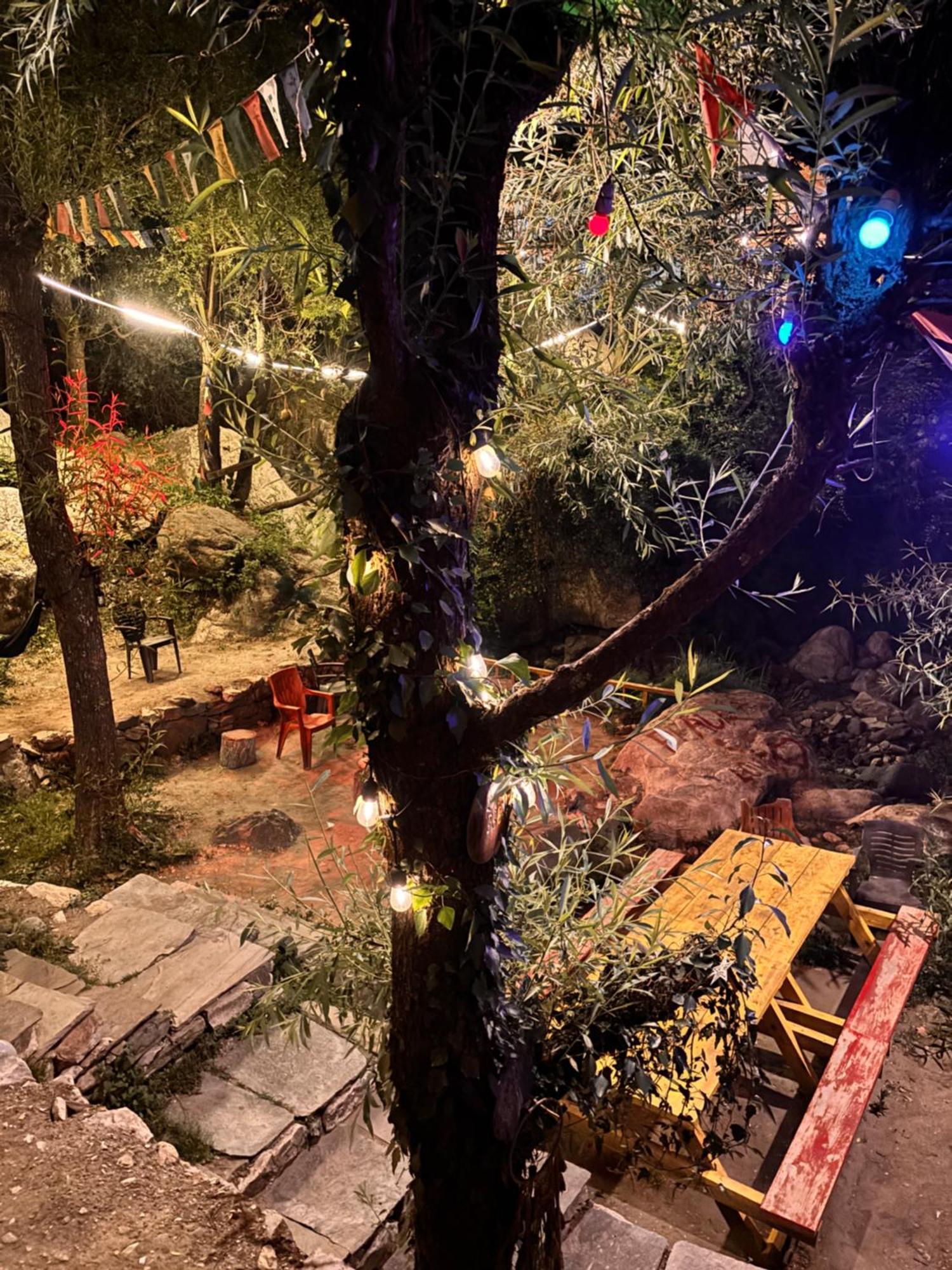 The Cozy Cabin, Jibhi Banjar Экстерьер фото